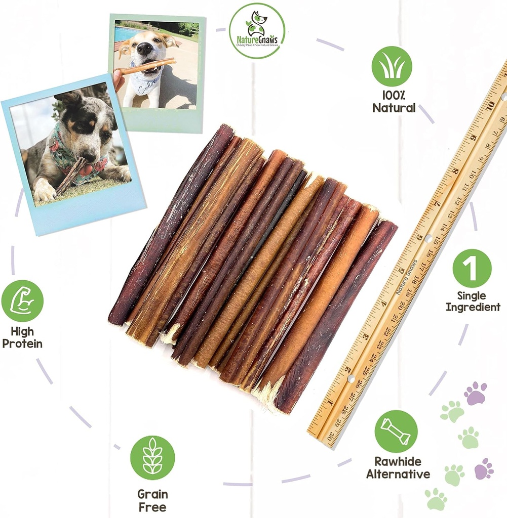 Nature Gnaws Large Bully Sticks for Dogs 5-6" (3 Count) - Thick Long Lasting for Aggressive Chewers and Large Dogs - Natural Beef Dog Chew Bones