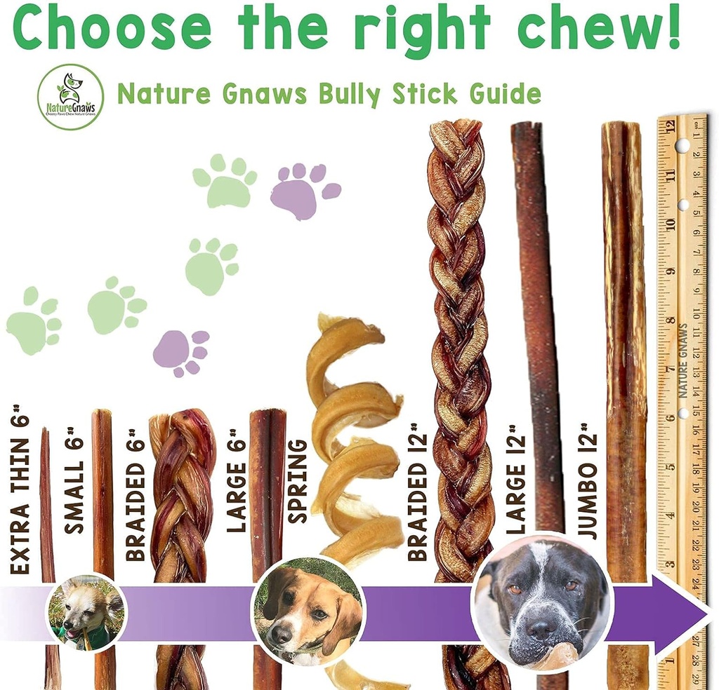 Nature Gnaws Large Bully Sticks for Dogs 5-6" (3 Count) - Thick Long Lasting for Aggressive Chewers and Large Dogs - Natural Beef Dog Chew Bones