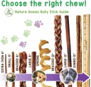 Nature Gnaws Large Bully Sticks for Dogs 5-6" (3 Count) - Thick Long Lasting for Aggressive Chewers and Large Dogs - Natural Beef Dog Chew Bones