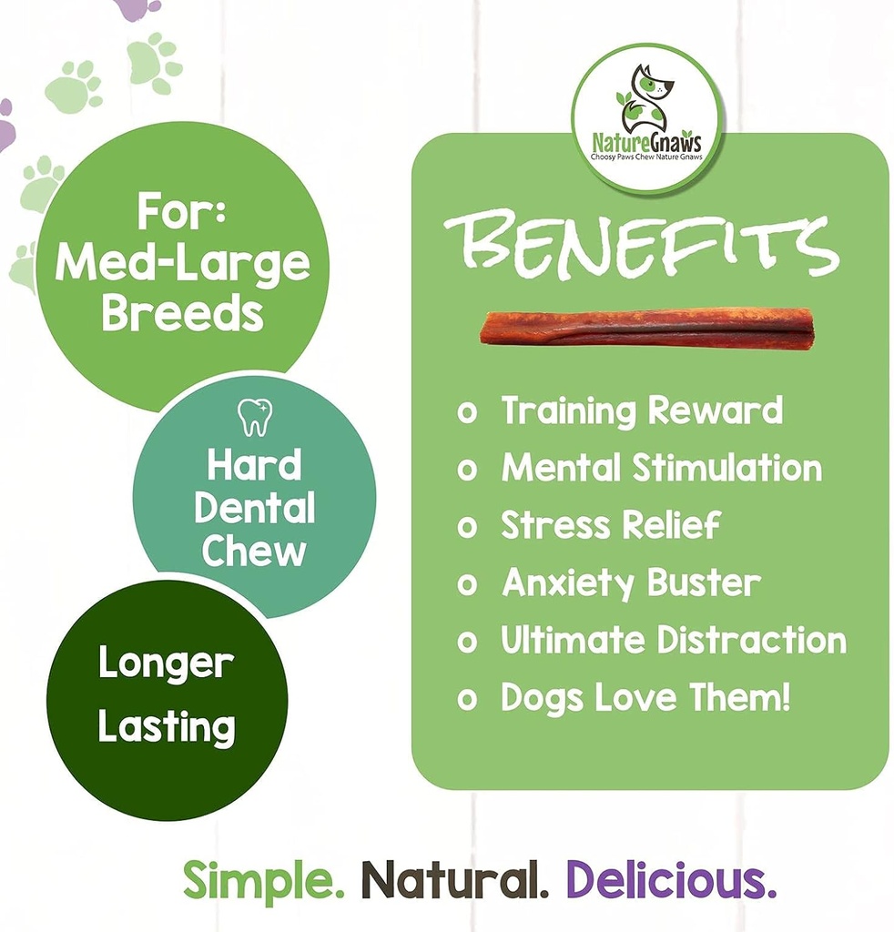 Nature Gnaws Large Bully Sticks for Dogs 5-6" (3 Count) - Thick Long Lasting for Aggressive Chewers and Large Dogs - Natural Beef Dog Chew Bones