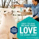 Nature Gnaws Large Bully Sticks for Dogs 5-6" (3 Count) - Thick Long Lasting for Aggressive Chewers and Large Dogs - Natural Beef Dog Chew Bones